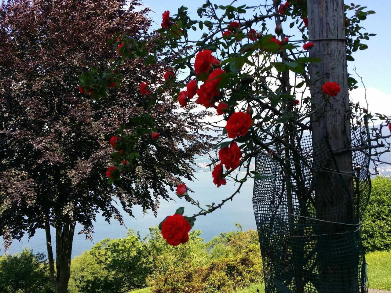 Locanda Pozzetto Laveno-Mombello Bagian luar foto